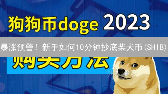 暴涨预警！新手如何10分钟抄底柴犬币(SHIB)？【完整攻略】