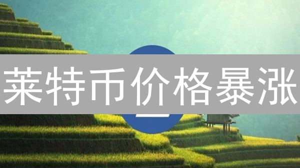莱特币价格暴涨？深度解析与加密货币联动性！谁是幕后推手？