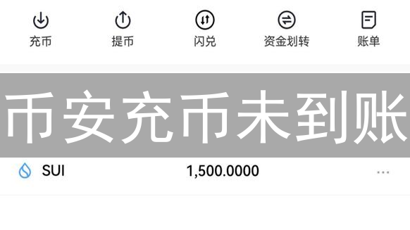 币安充币未到账？别慌！七步排查助你快速找回资产！