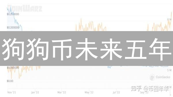 狗狗币未来五年：币安上的狂欢还是陨落？