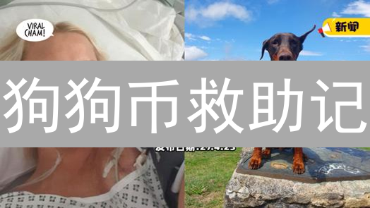 狗狗币救助记：揭秘加密货币捐赠背后的秘密！