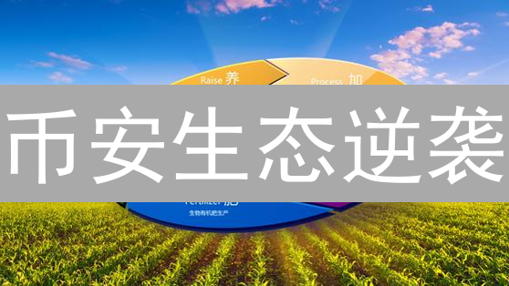 币安生态逆袭？揭秘你不知道的财富密码！