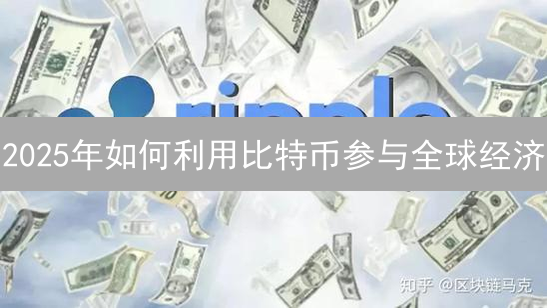 2025年如何利用比特币参与全球经济？优势分析与行动指南