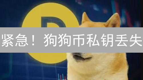 紧急！狗狗币私钥丢失？3招教你备份，避免资产归零！