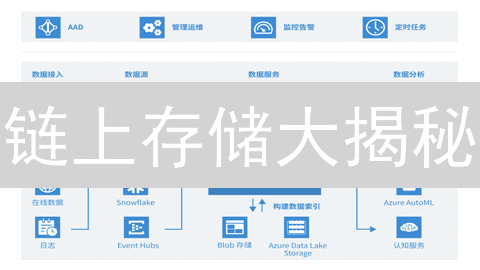 链上存储大揭秘：5大方案，解决DApp数据难题！