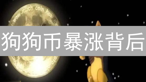 狗狗币暴涨背后：5个安全购买秘籍，让你稳赚不赔？