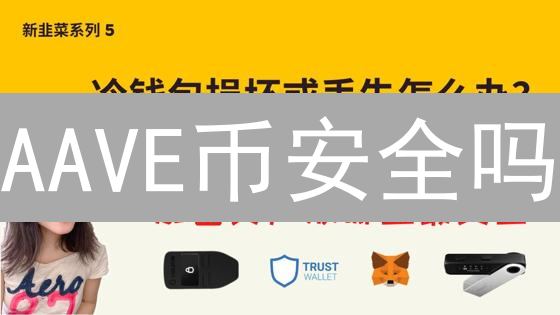 AAVE币安全吗？3大冷钱包，告别被盗风险！