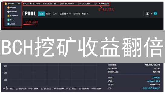 BCH挖矿收益翻倍？2024年最佳矿池选择指南！