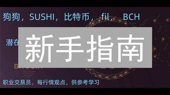 新手指南：十分钟掌握在币安购买比特现金BCH！