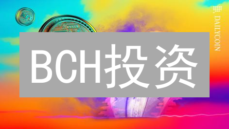 BCH投资：机遇与挑战并存？新手必看指南！