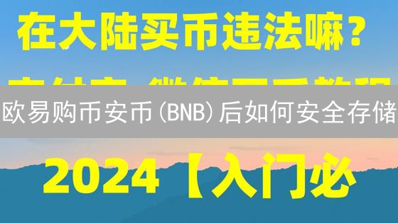 欧易购币安币(BNB)后如何安全存储？实战指南！