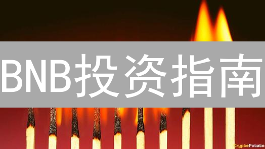 BNB投资指南：抓住币安生态爆发机遇？新手必看！