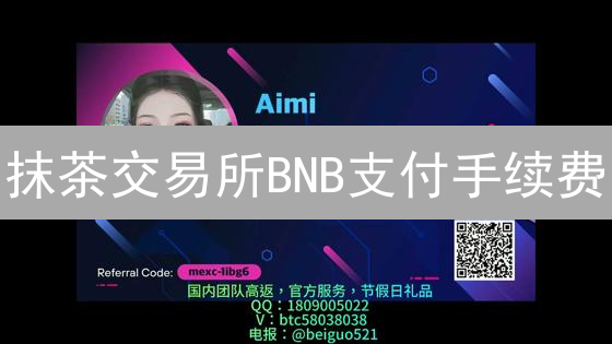 抹茶交易所BNB支付手续费：省钱攻略与实战技巧【必看】