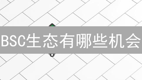 BSC生态有哪些机会？2024年必看项目，快速了解！