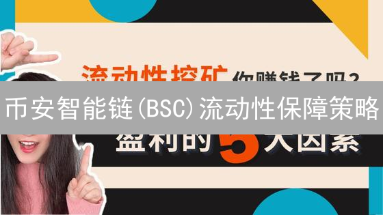 币安智能链(BSC)流动性保障策略：激励与合作