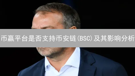 币赢平台是否支持币安链(BSC)及其影响分析