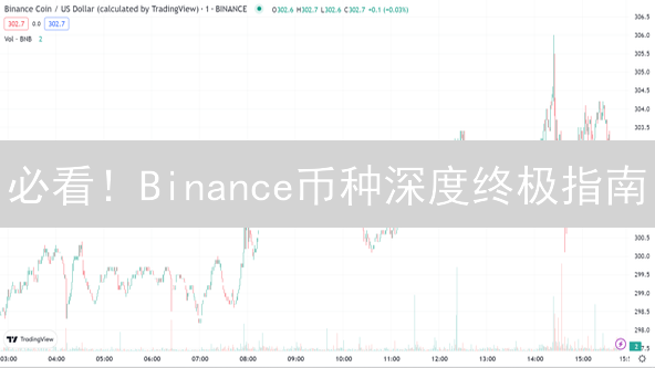 必看！Binance币种深度终极指南：告别滑点，精准交易！
