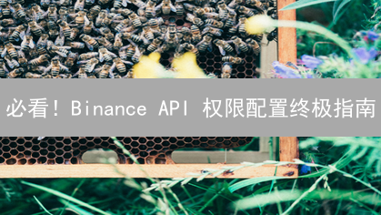 必看！Binance API 权限配置终极指南：安全交易全攻略