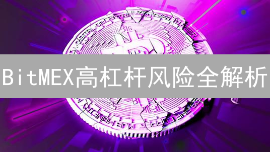 BitMEX高杠杆风险全解析：新手必看！
