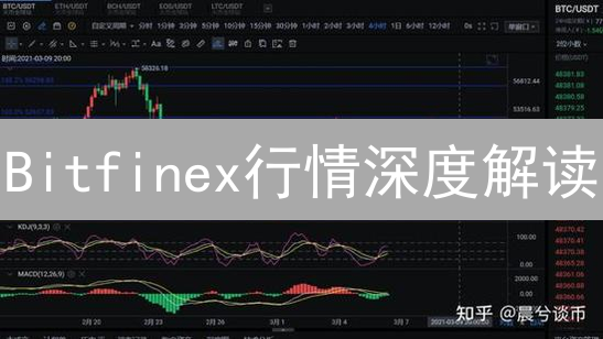 Bitfinex行情深度解读：抓住加密货币市场的机遇？