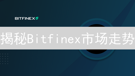 揭秘Bitfinex市场走势：技术、数据与宏观经济三重奏！
