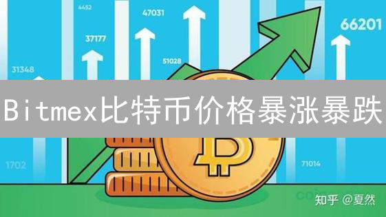 Bitmex比特币价格暴涨暴跌？深度剖析背后的市场逻辑与风险！
