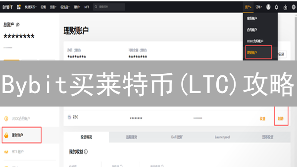 Bybit买莱特币(LTC)攻略：订单确认与支付秘籍！