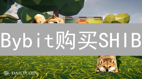Bybit购买SHIB？先看这篇！地区限制与替代方案全攻略