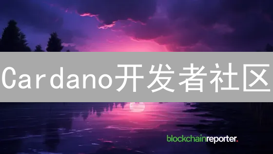 Cardano开发者社区：如何驱动区块链创新？揭秘ADA生态！