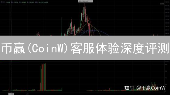 币赢(CoinW)客服体验深度评测：速度、专业性与用户反馈