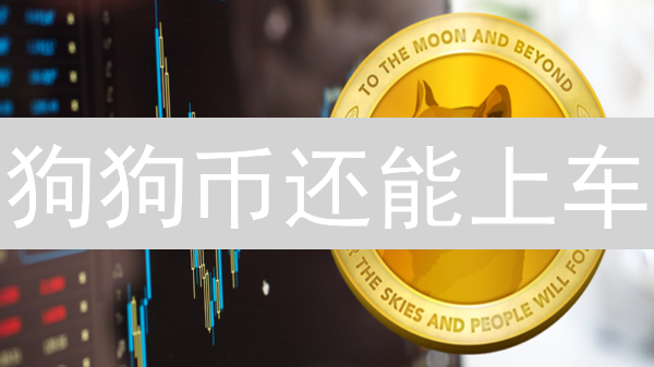 狗狗币还能上车？专家深度解读DOGE币投资风险与机遇！