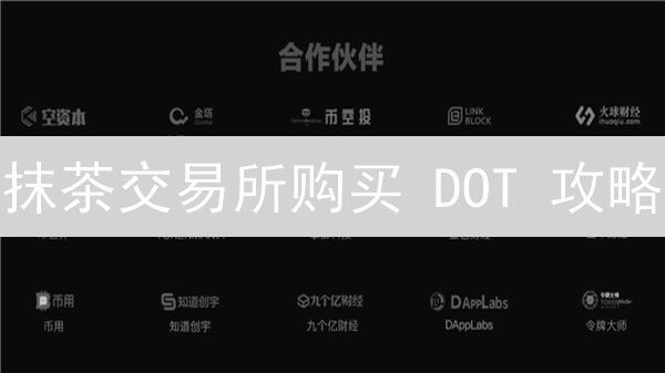 抹茶交易所购买 DOT 攻略：新手指南与投资策略！