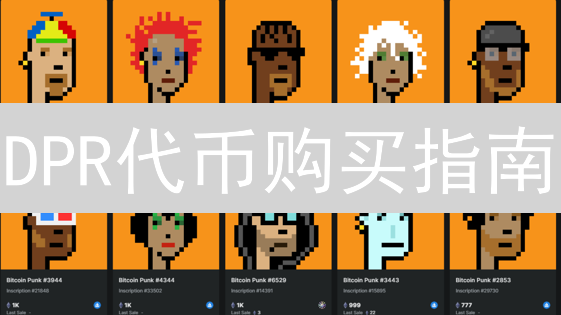 DPR代币购买指南：抓住DeFi机遇，解锁私密互联网！