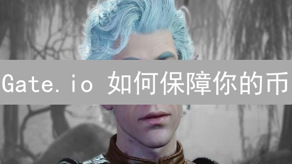 Gate.io 如何保障你的币？深度揭秘风险管理内幕！