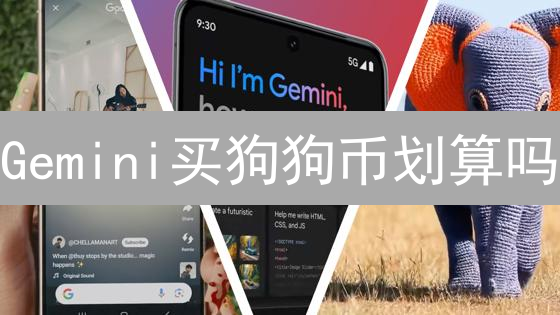 Gemini买狗狗币划算吗？深度剖析安全与费用的博弈！
