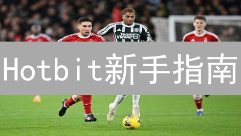 Hotbit新手指南：APP下载、注册、充值交易全攻略！