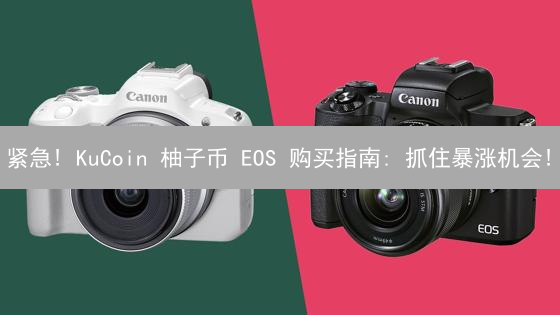紧急! KuCoin 柚子币 EOS 购买指南: 抓住暴涨机会!