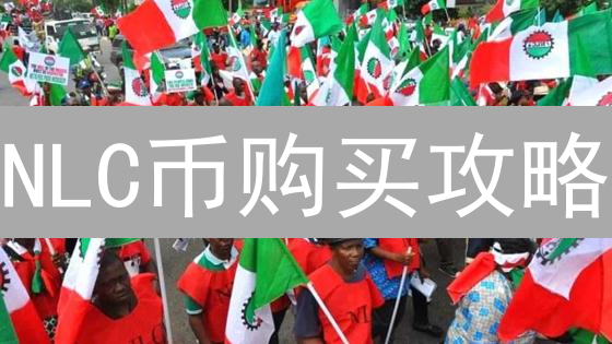 NLC币购买攻略：三大渠道深度解析，新手也能轻松上手！