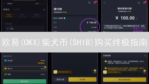 欧易(OKX)柴犬币(SHIB)购买终极指南：风险与机遇并存？