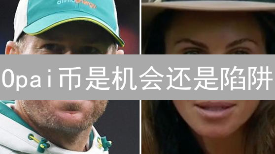 Opai币是机会还是陷阱？避坑指南，新手必看！