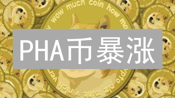 PHA币暴涨？揭秘PhalaNetwork隐私计算的未来机会！