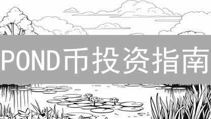 POND币投资指南：新手如何安全高效购买？