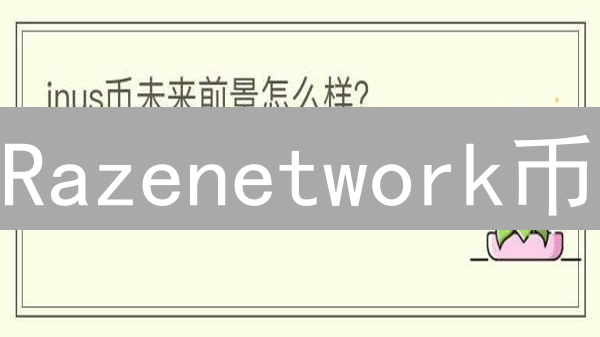 Razenetwork币：去中心化未来基石？前景分析