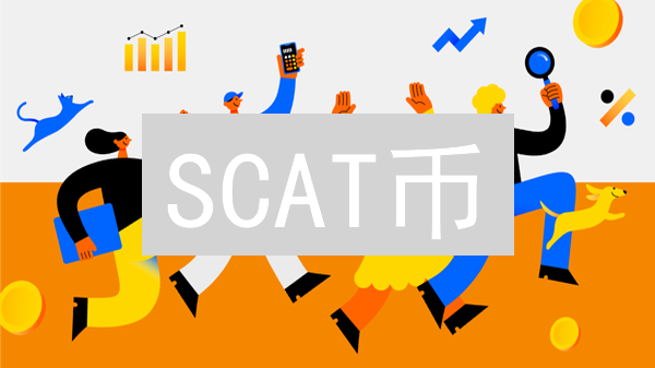 SCAT币：猫咪爱好者的福音？还是下一个加密货币陷阱？