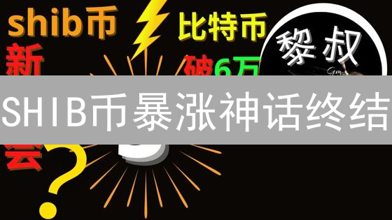 SHIB币暴涨神话终结？深度解析风险与机遇【2024投资指南】