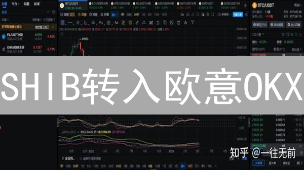 SHIB转入欧意OKX：图文教程+避坑指南，快速搞定！