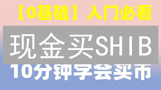 现金买SHIB？币安柴犬币购买终极指南！