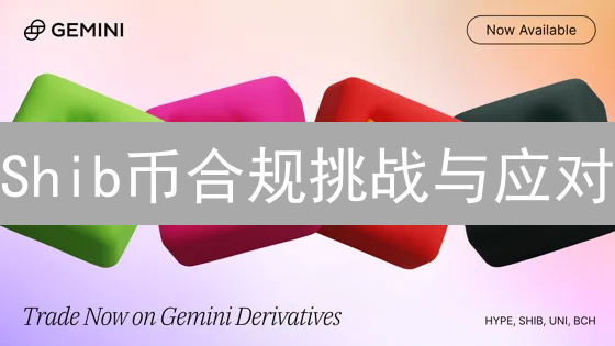 Shib币合规挑战与应对：投资者必读！