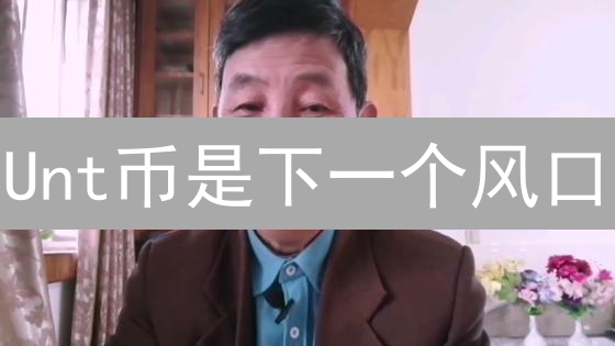 Unt币是下一个风口？深度剖析其价值与风险！