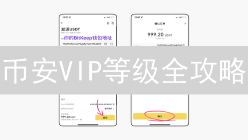 币安VIP等级全攻略：如何快速升级，尊享更低手续费？
